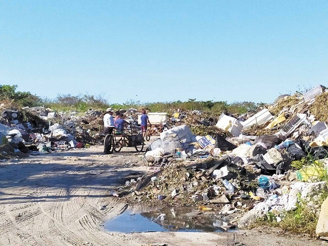 Pepenadores buscan laborar en el relleno sanitario de Ciudad de Carmen