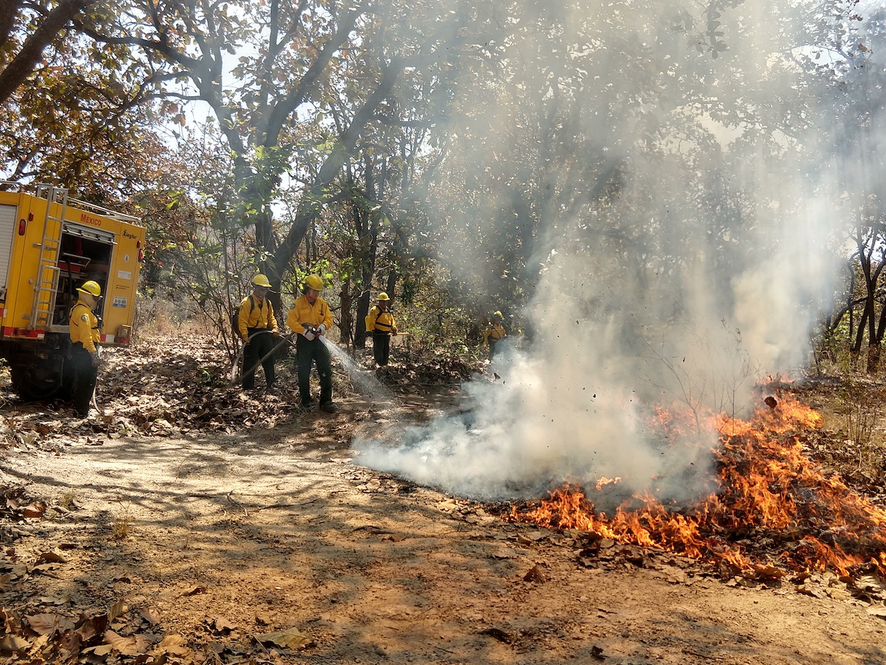 Incendios forestales en 2021 podrían ser más críticos en Campeche