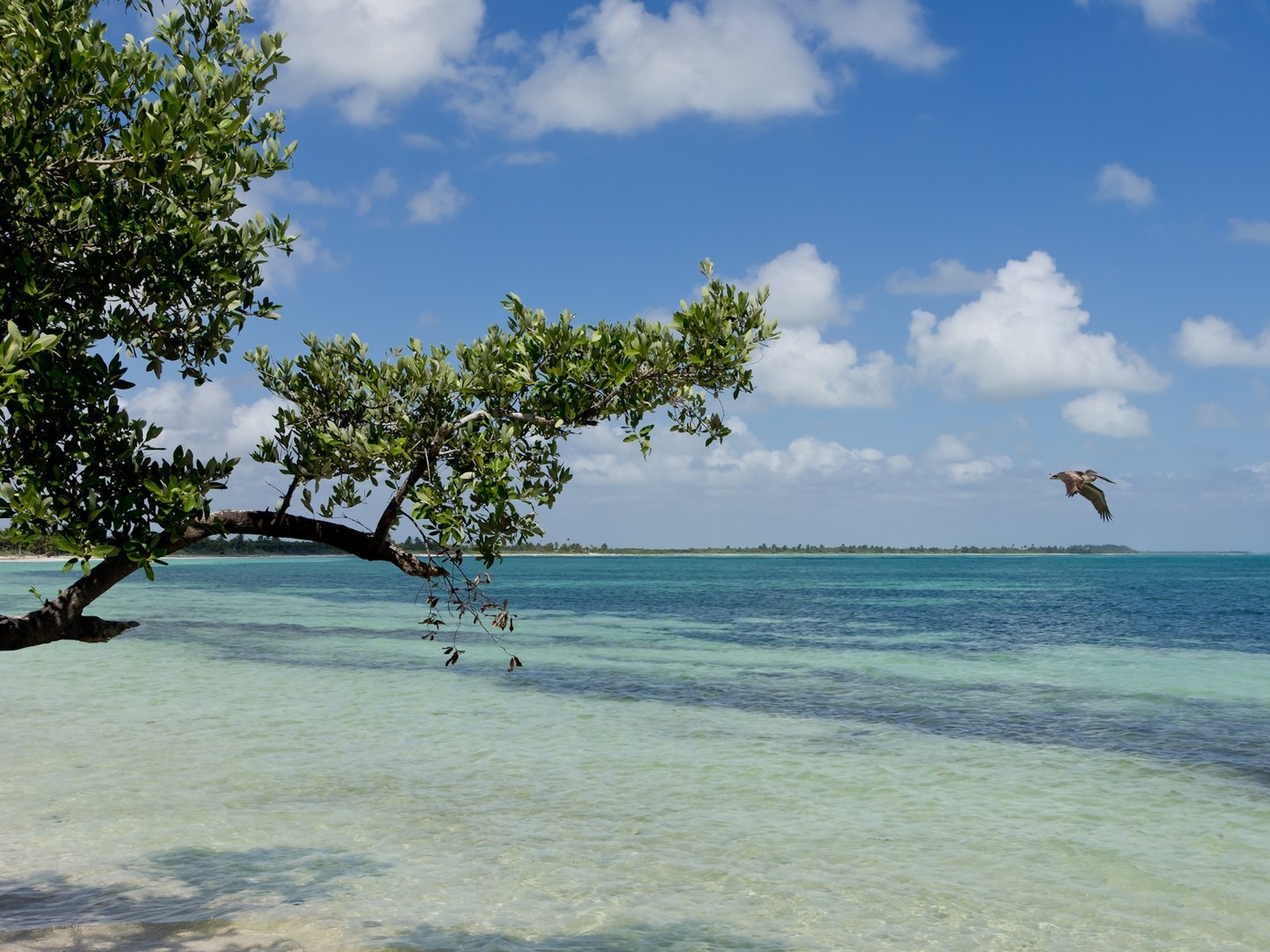 Áreas naturales protegidas en Quintana Roo: conoce 3 de ellas