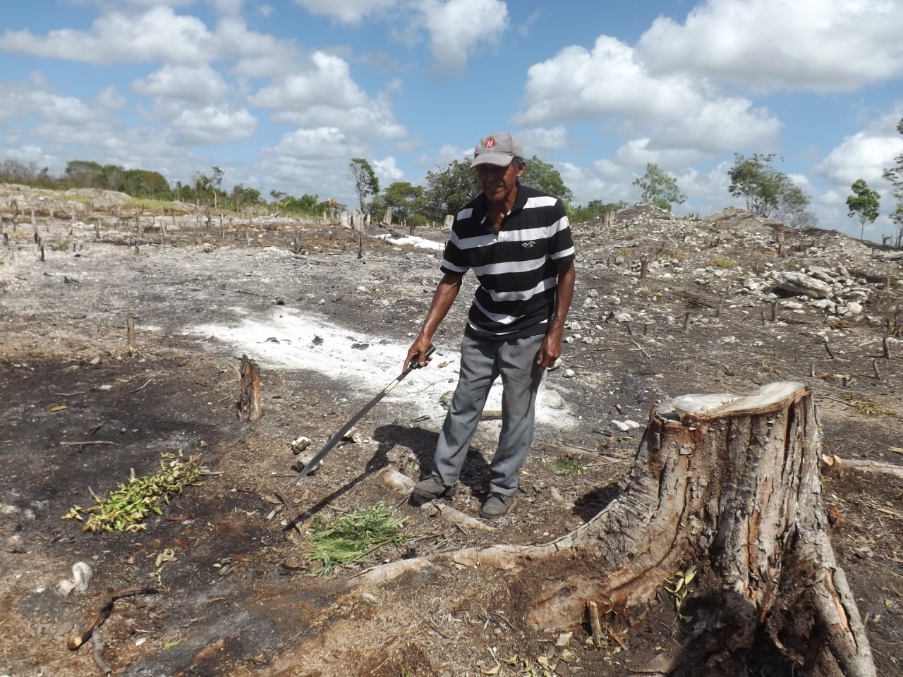 En el recorrido de Por Esto! Quintana Roo, se pudo observar varios terrenos carentes de lluvia