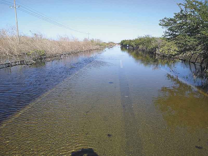 Bajo el agua continúan los ranchos en Yucatán