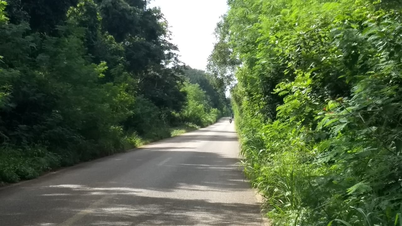 Limpian camino al Naranjal tras muerte de motociclista