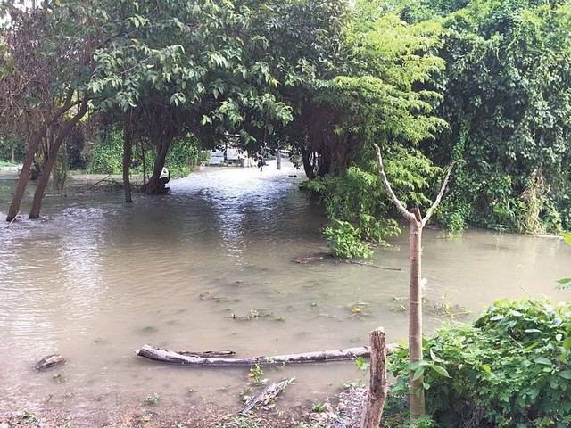 Se desborda río Palizada y causa inundaciones en comunidades de Campeche