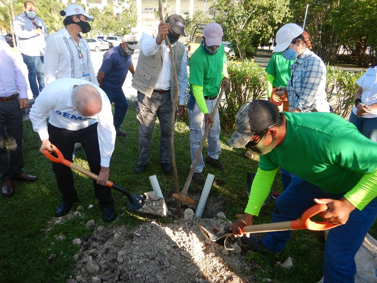 Crean campaña de reforestación "1000 árboles +1" en Cancún