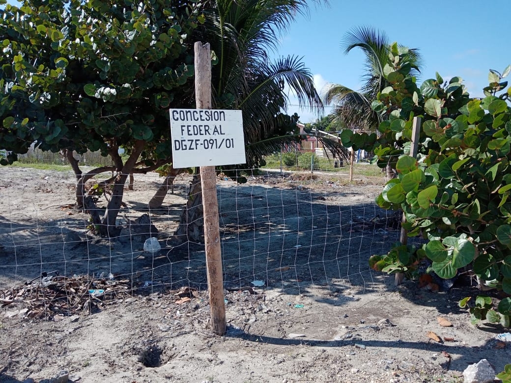 Exfuncionarios tienen la concesión de los predios en Playa Norte de Ciudad del Carmen