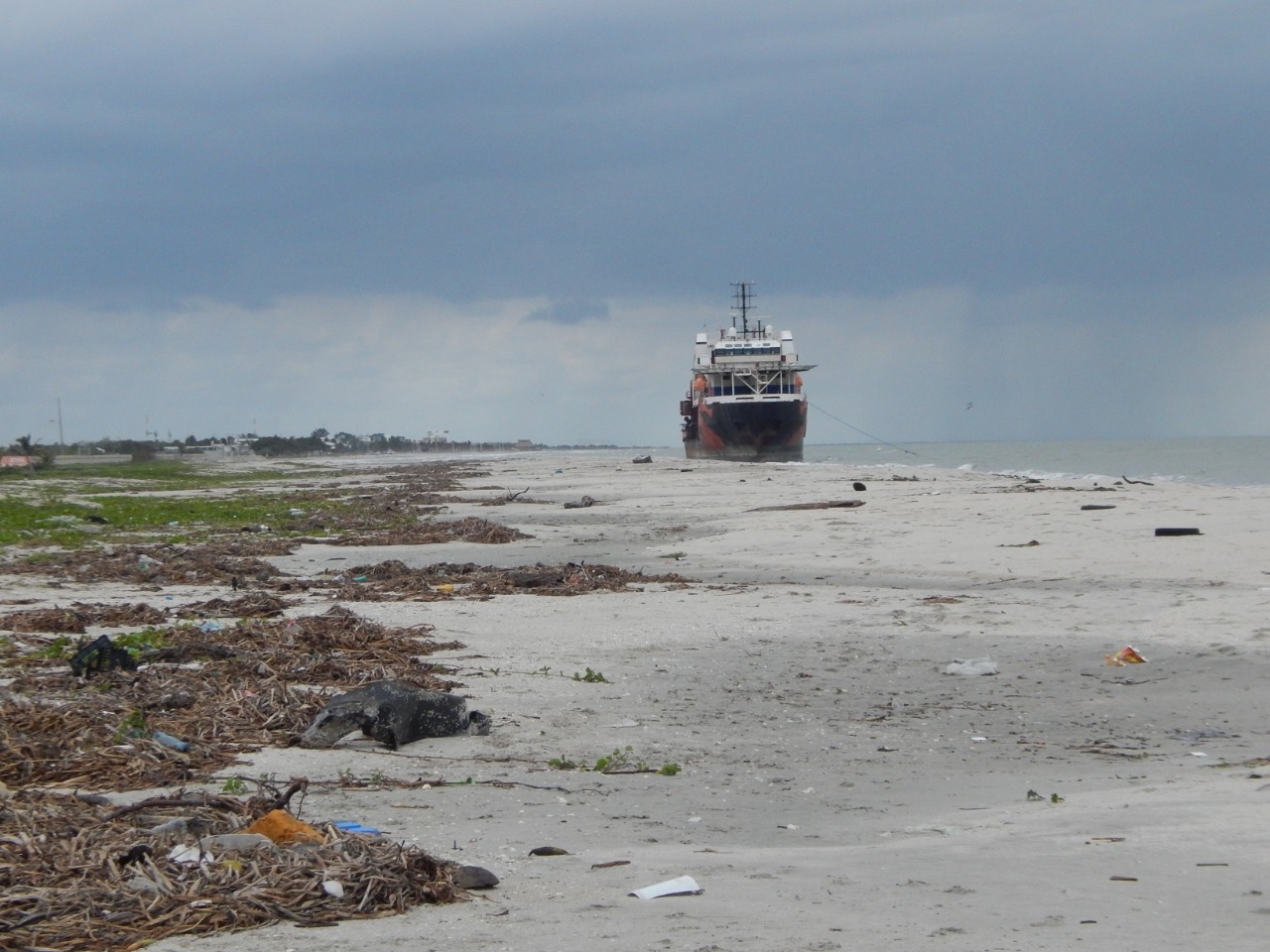 Limpian playas donde anidan tortugas en Ciudad del Carmen