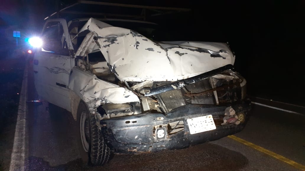 Vaca destroza una camioneta que transportaba albañiles en carretera de Celestún