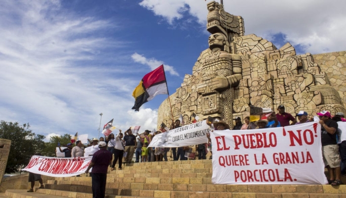 SCJN atrae nuevamente polémico caso de la megagranja porcícola de Homún