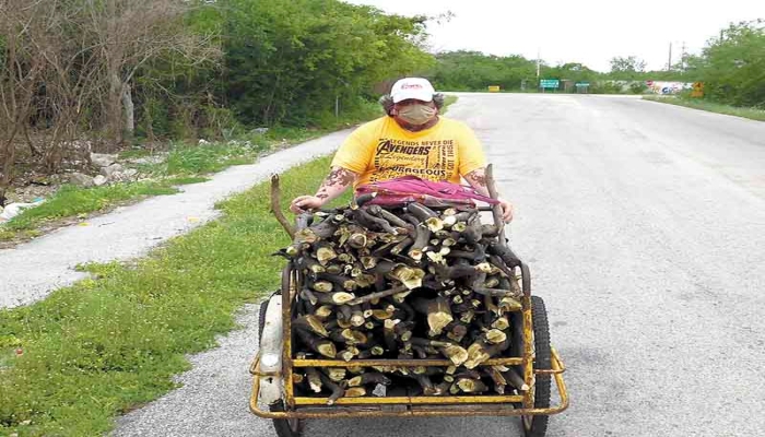 Foto: José Luis Díaz Pérez