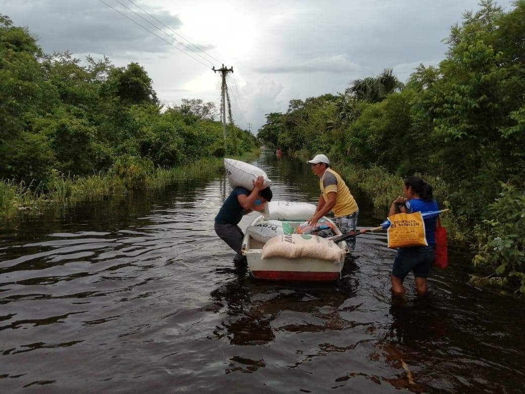 Reciben alimentos para animales en Felipe Carrillo Puerto