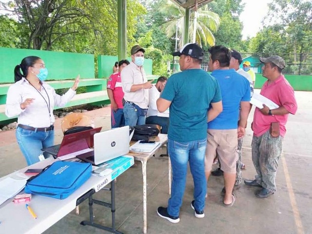 Apicultores de Holpechén pierden tres mil colmenas