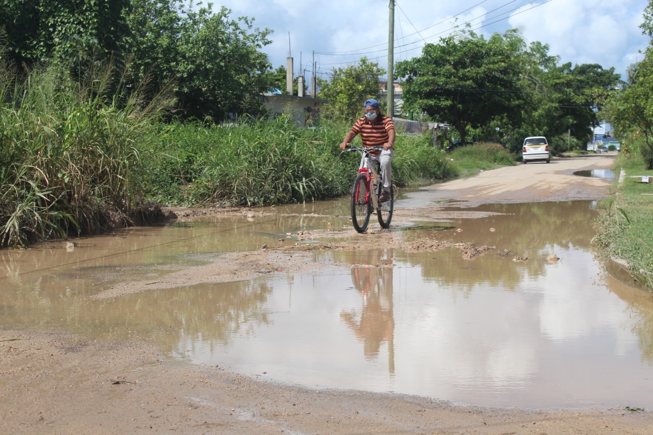 Calle de Chetumal con delincuentes, maleza y baches  por falta de mantenimiento