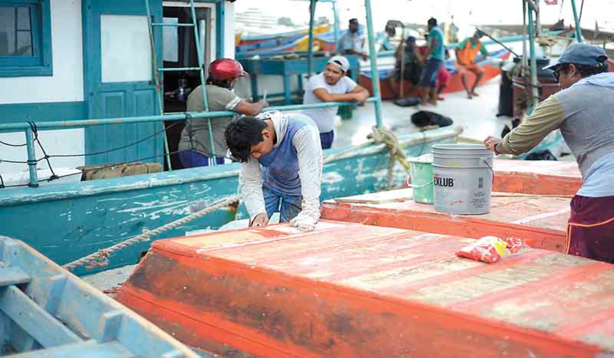 Temporada de pulpo arrancará con futuro incierto en Yucatán