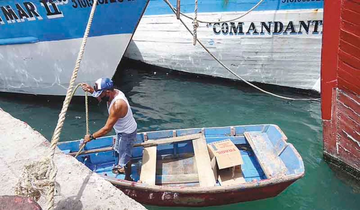 Pesquería de Yucatán, a punto de colapsar