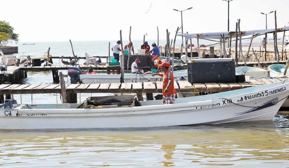 Pescadores en Ciudad del Carmen, en riesgo por no inscribirse al seguro de vida