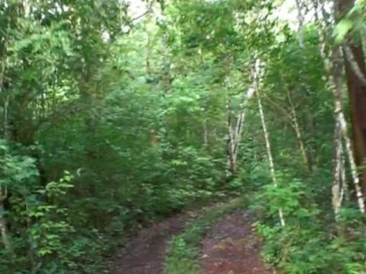 Hombre se pierde por horas en montes de Espita