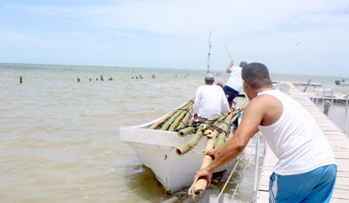 Más de 600 pescadores arrancarán con la temporada de pulpo en Calkiní