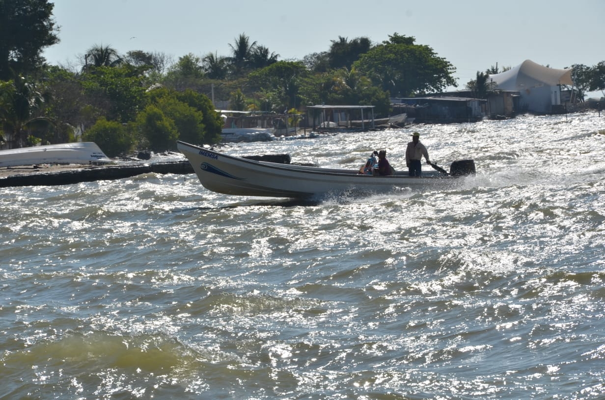 Denuncian sobreexplotación de almejas en Atasta,Campeche