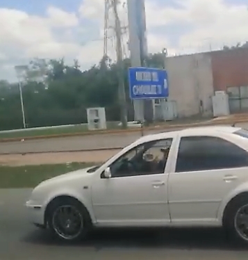 El conductor le cerró el paso a la ambulancia