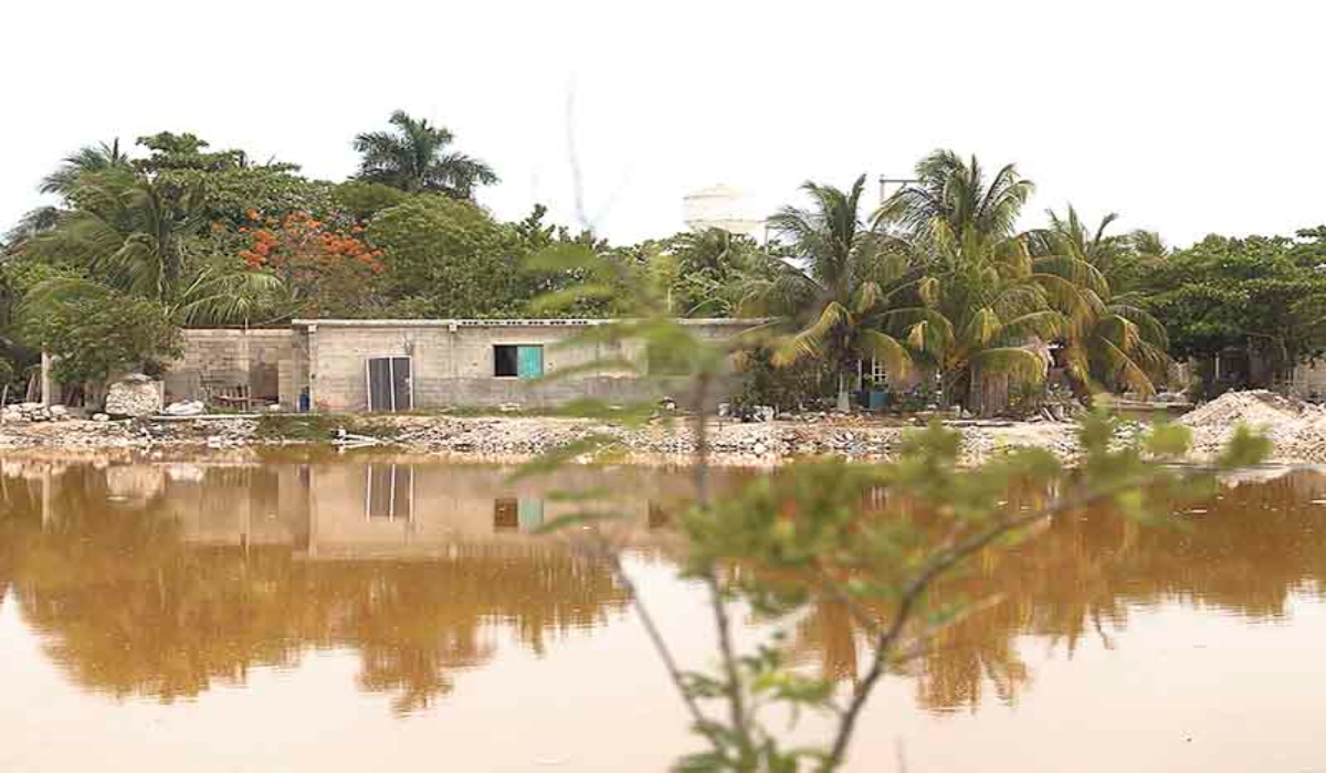 Descartan presencia natural de metales pesados en la Península de Yucatán