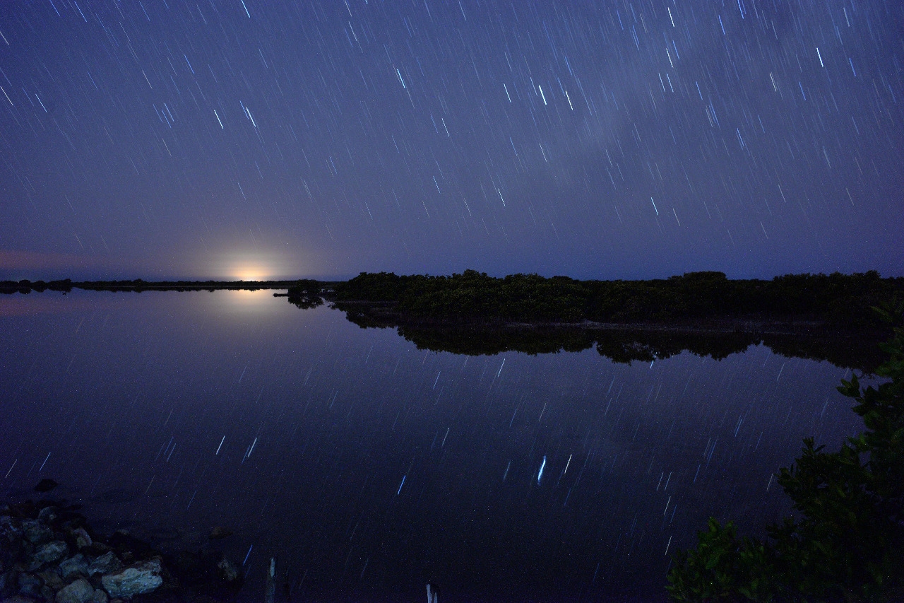 Lluvia de estrellas Perseidas, así se vio en Yucatán