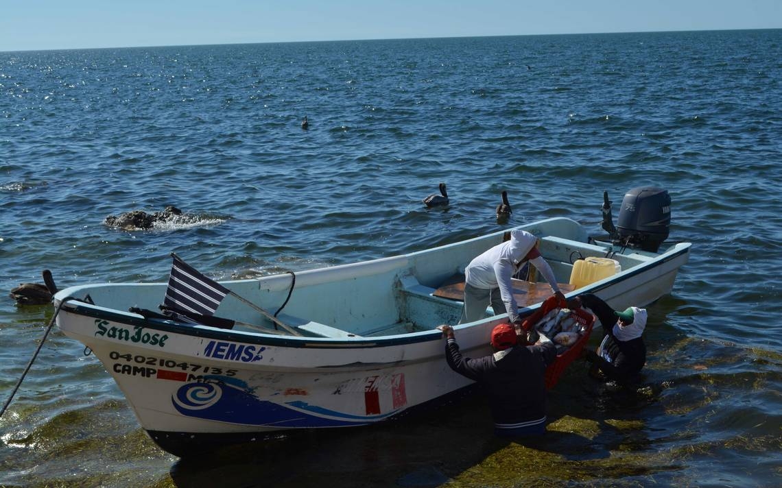 Rescatan a pescador de 70 años que quedó a la deriva en Campeche