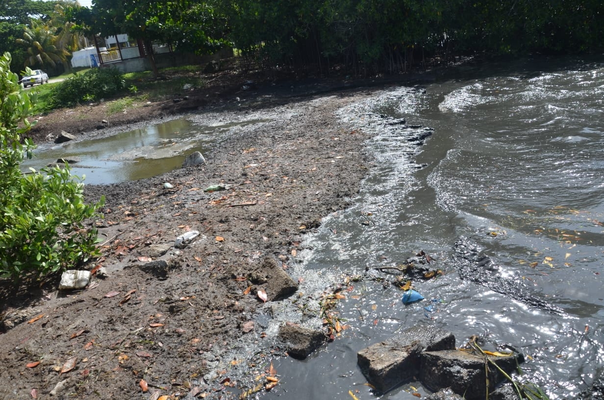 Líder de matarifes admite que rastro de Ciudad del Carmen genera contaminación