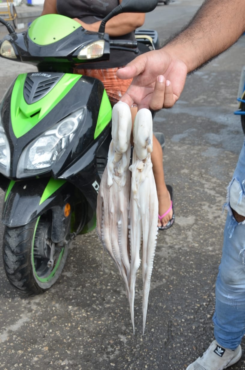 Cae la demanda de pulpo y camarón en Ciudad del Carmen