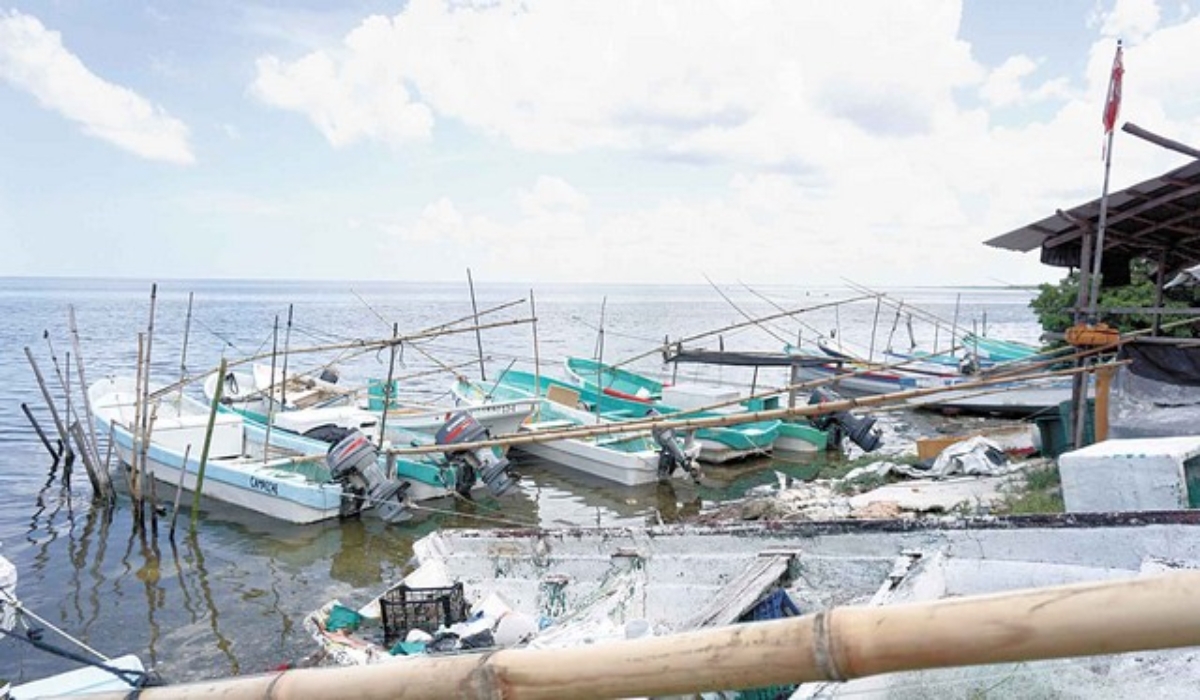 Activan refugios temporales en Campeche por la Tormenta Tropical Marco