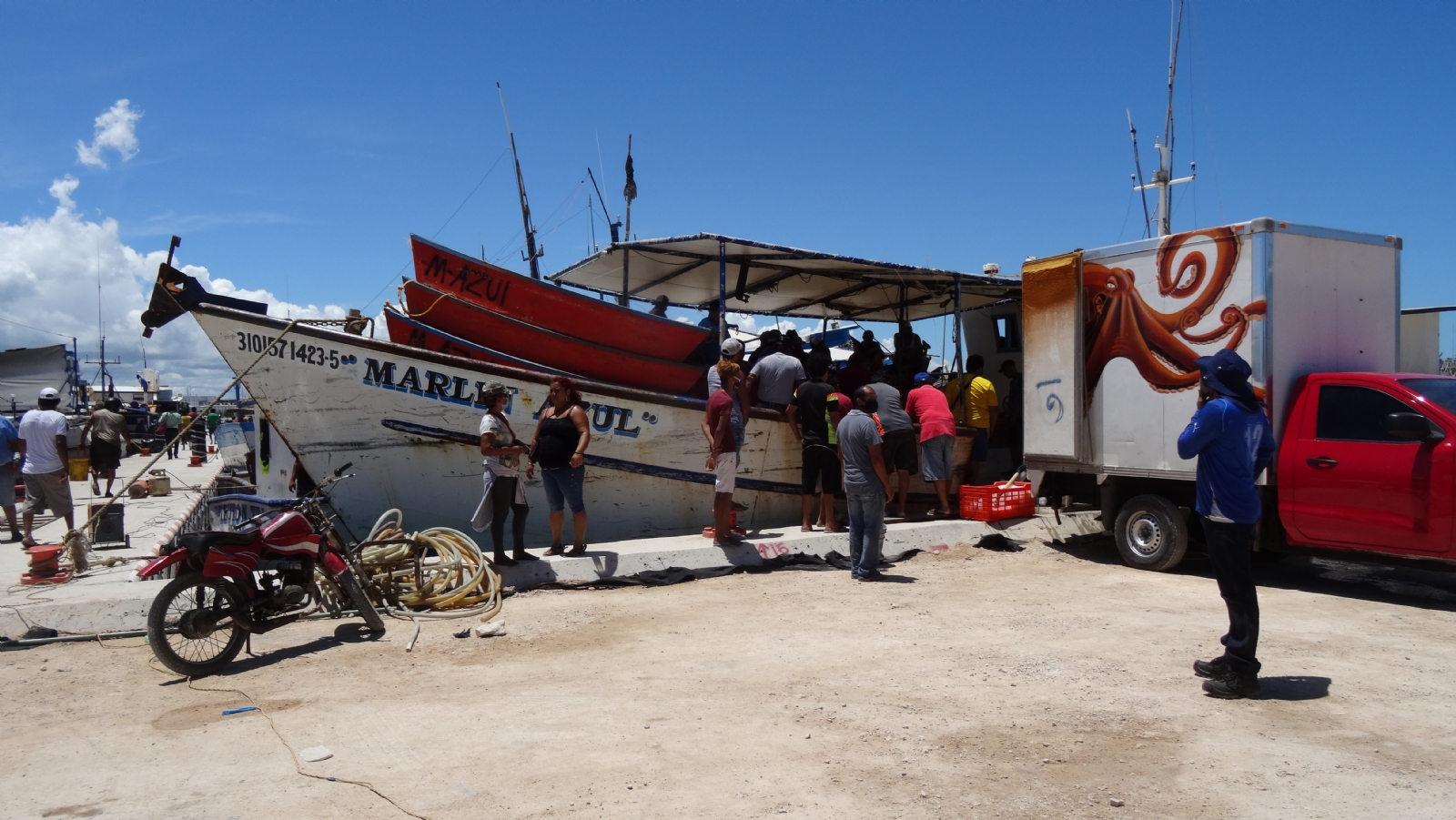 Rompen record de pesca en Progreso