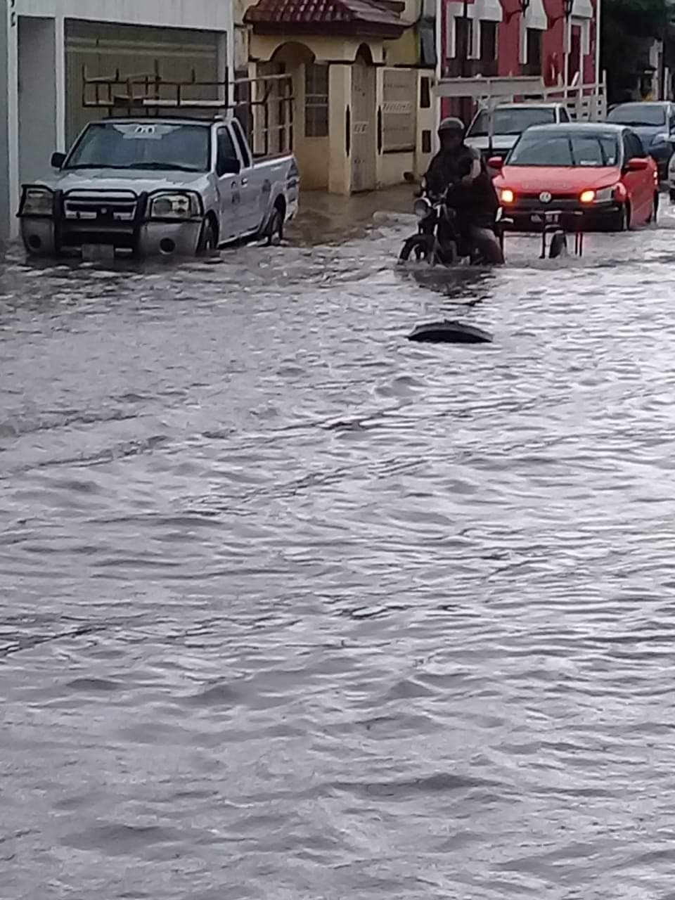 Tormenta Tropical Marco causa estragos en Valladolid