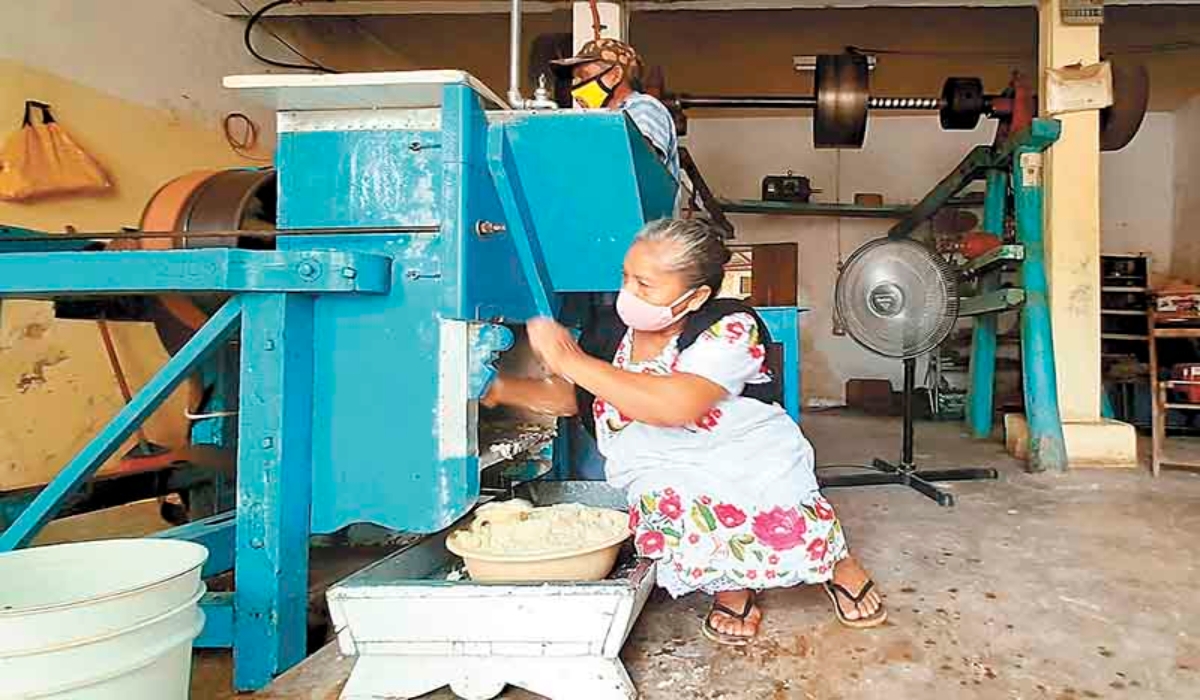 Molienda de nixtamal, tradición que se conserva en Chumayel