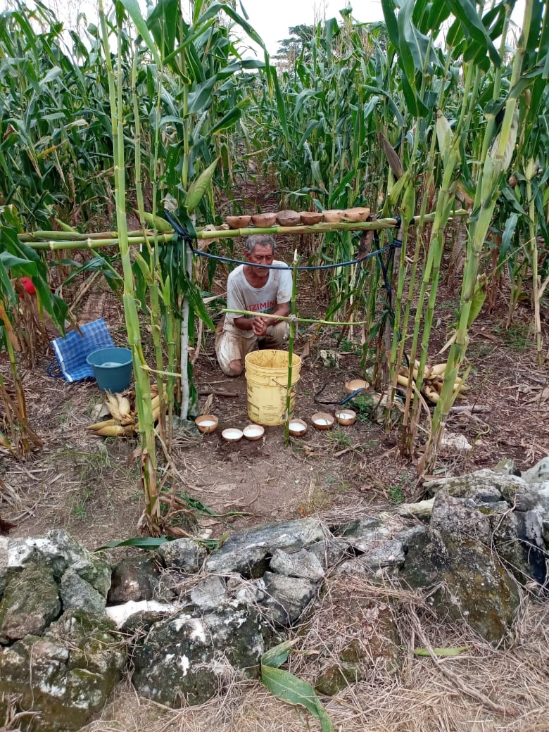 Campesinos de Tizimín realizan ritual de agradecimiento