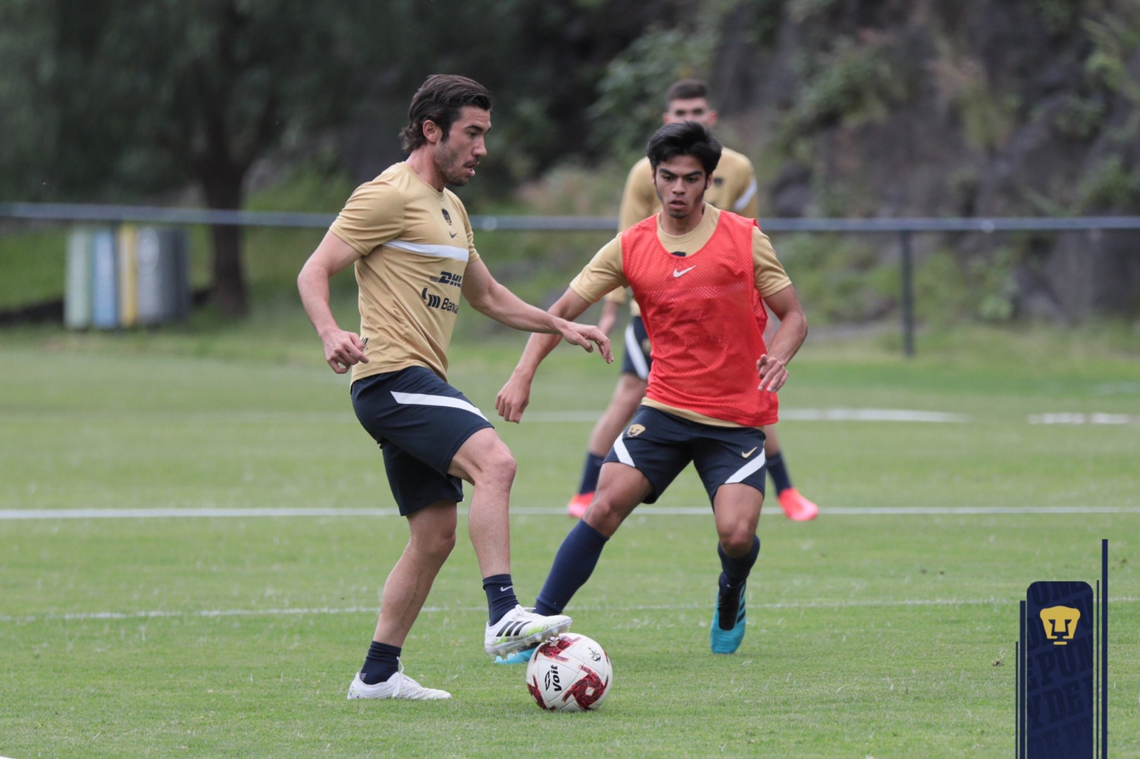 Pumas anuncia un nuevo positivo de COVID-19