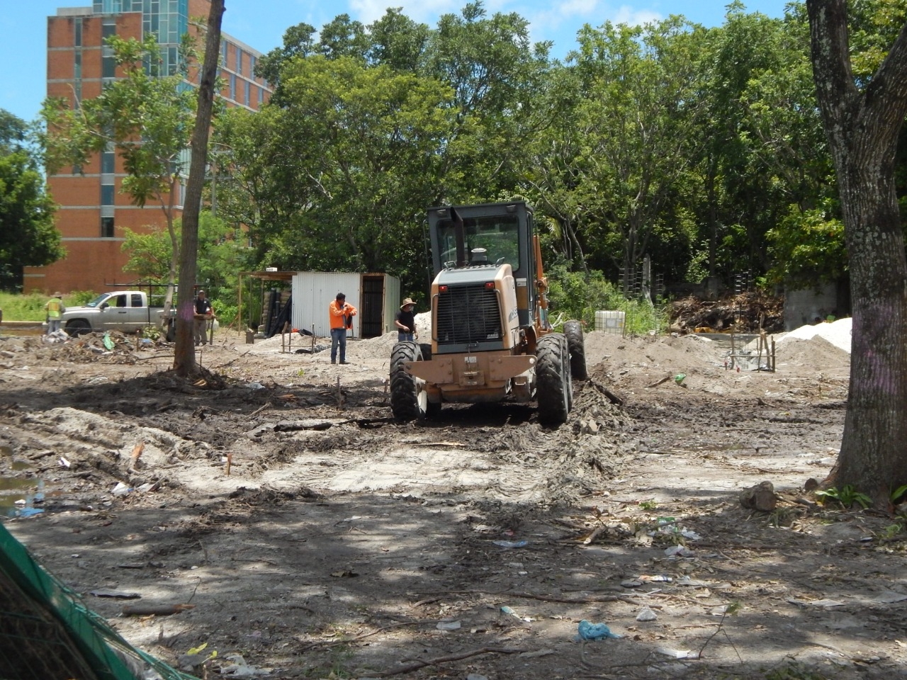 Dependencia avala tala de árboles para construir gasolinera en Ciudad del Carmen