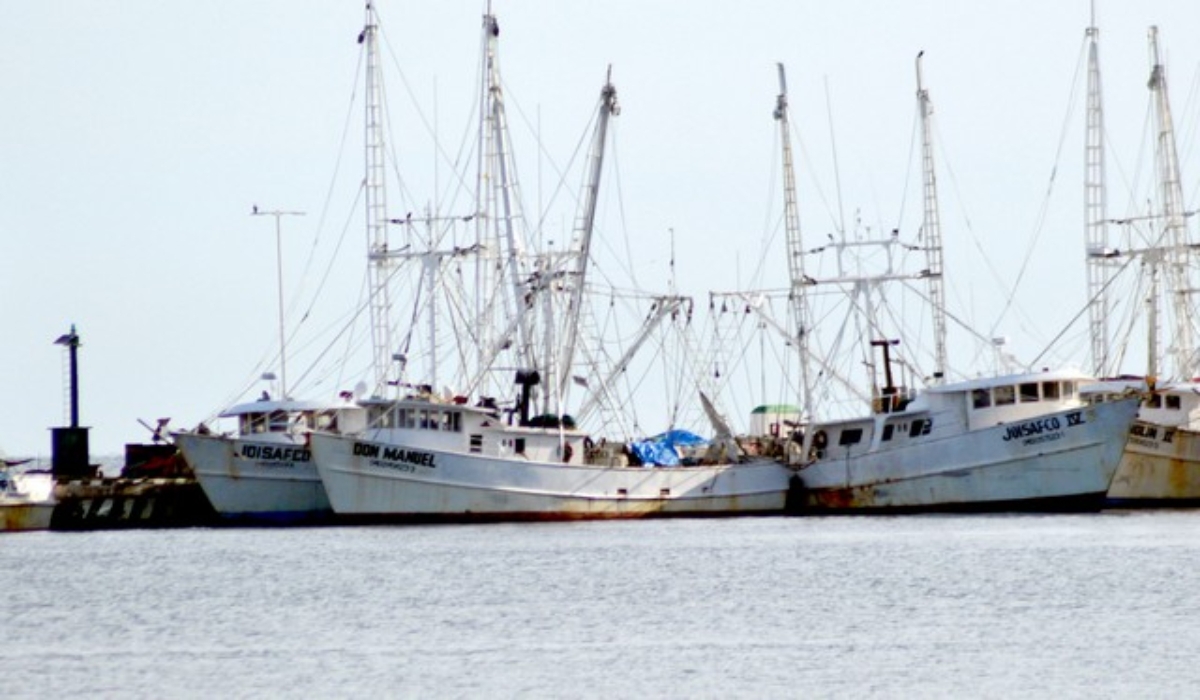 Tras donativo de diésel, camaroneros de Campeche saldrán a la pesca el 15 de septiembre