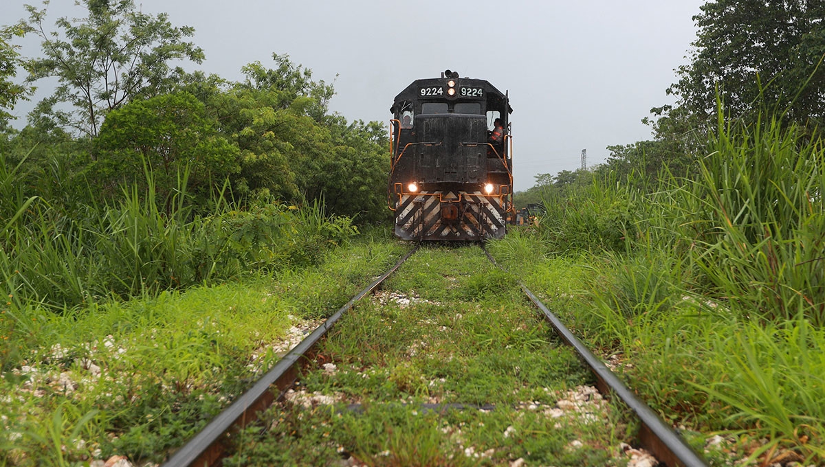 Existe un complot contra el Tren Maya, coincide Fonatur