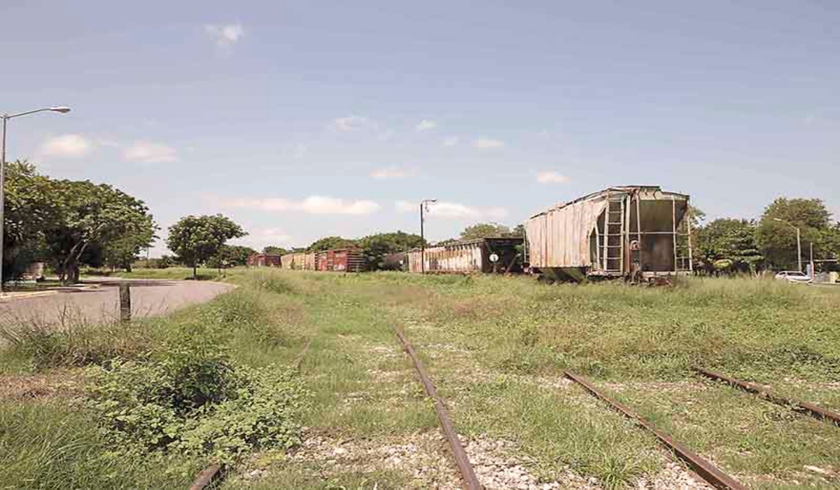 Especialistas de Yucatán señalan que el Tren Maya no es un proyecto social