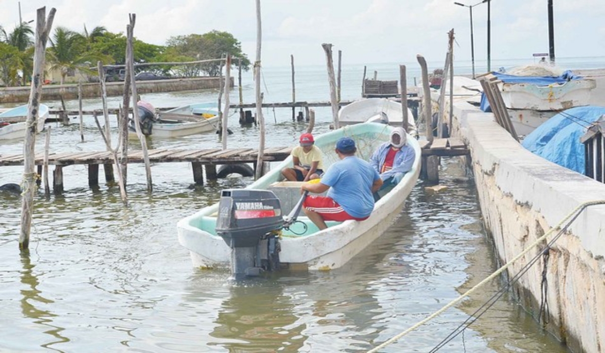 Cooperativas pesqueras en Ciudad del Carmen alistan asamblea para elegir dirigente