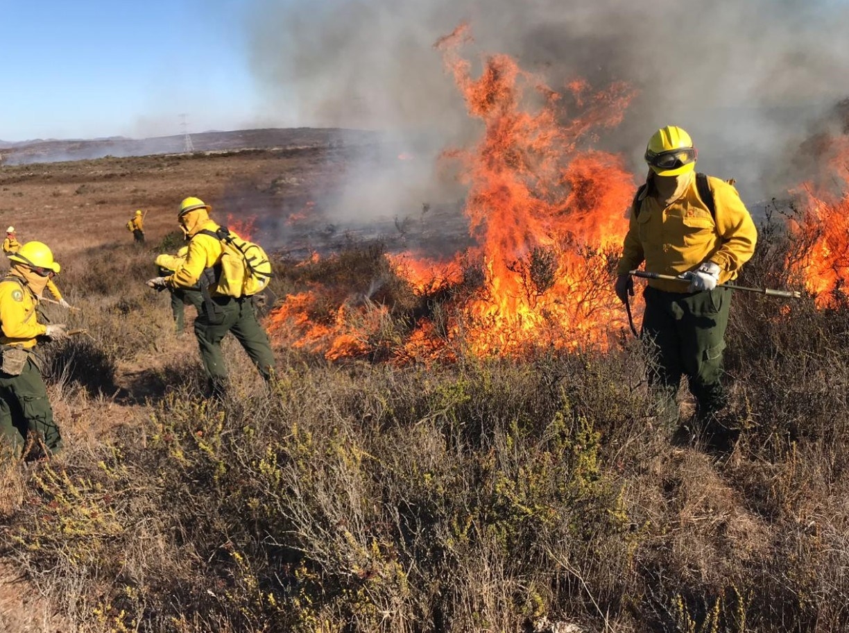 Campeche termina la temporada de incendios con 22 registrados