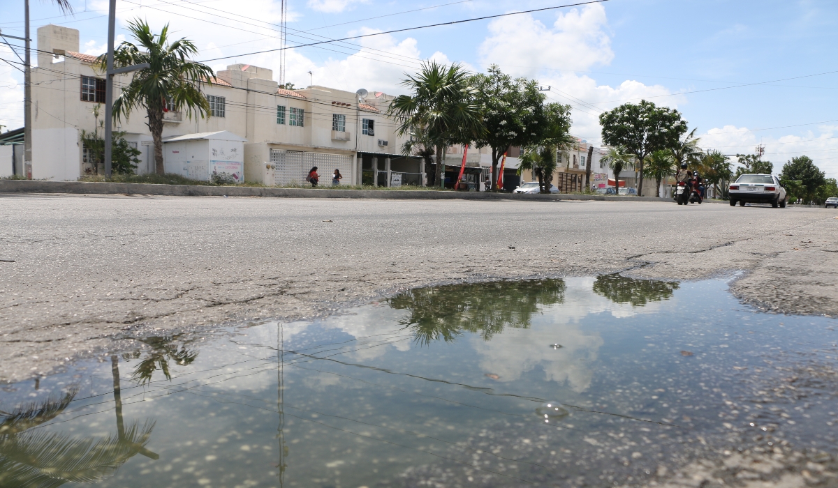 Quintana Roo ocupa el primer lugar en casos de dengue a nivel peninsular