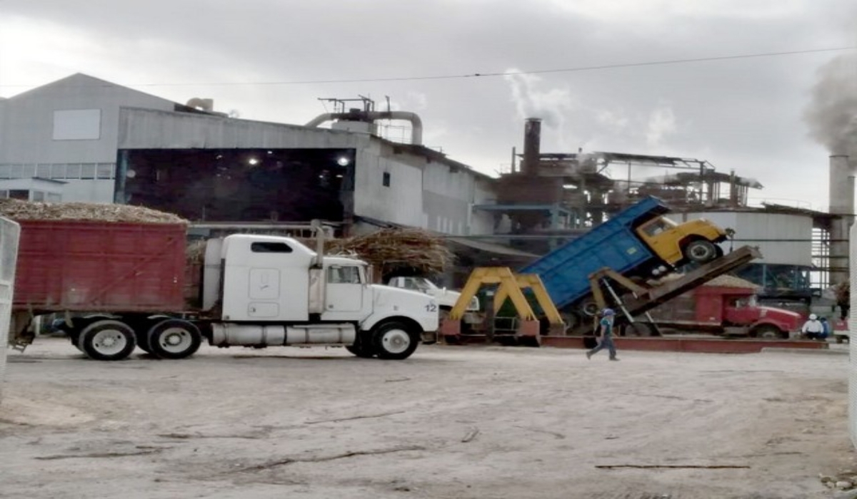 Productores de caña en Seybaplaya piden que se informe sobre el precio final