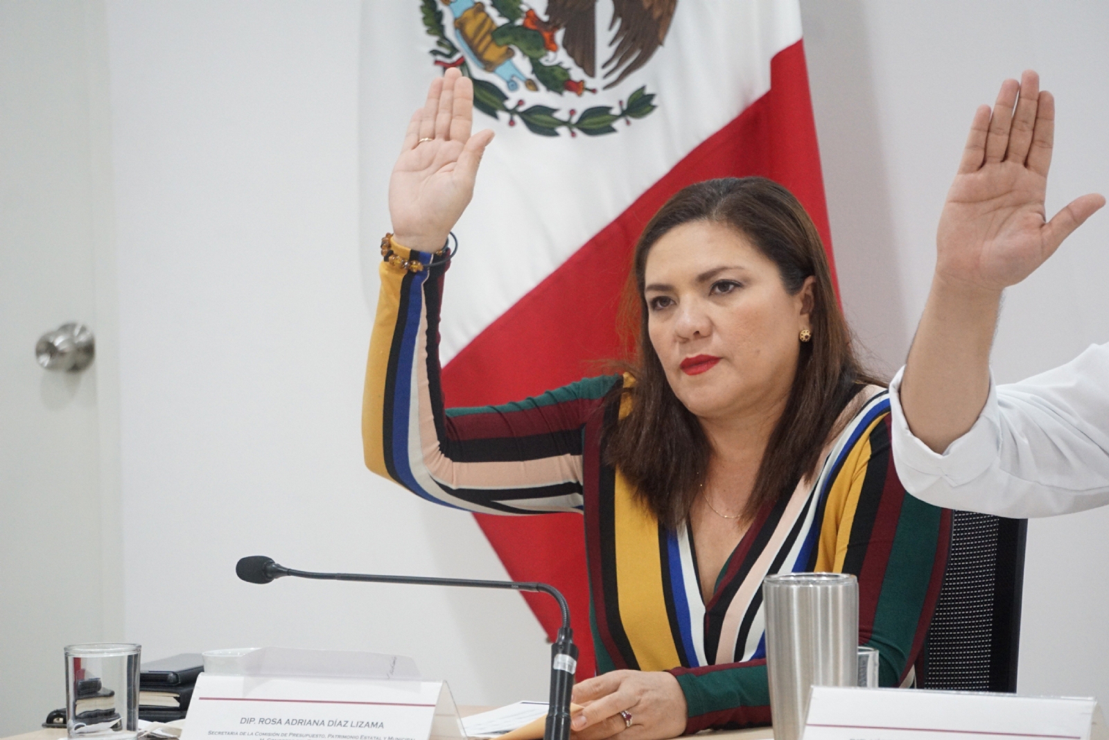 Diputada yucateca del PAN ofrece su plasma tras padecer COVID-19