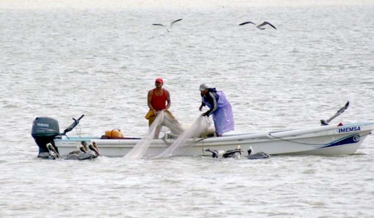 Solo el 40% de los pescadores en Campeche cuenta con permisos