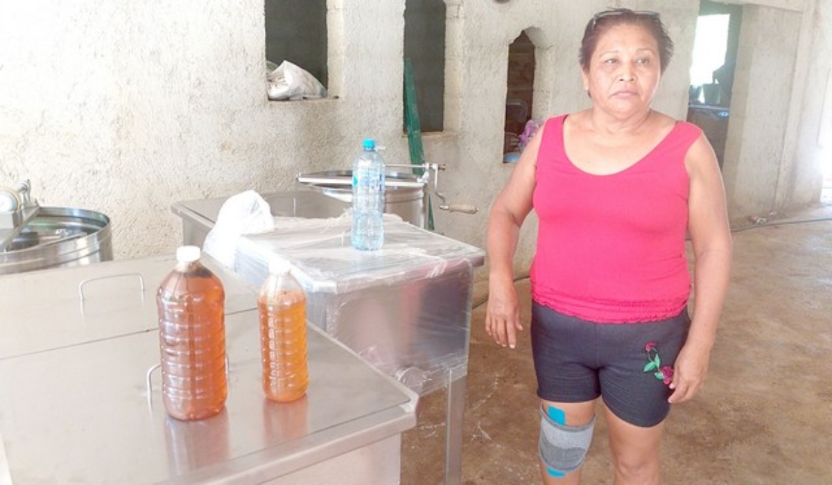 Apicultura de Tenabo, en riesgo por plagas y cambio climático