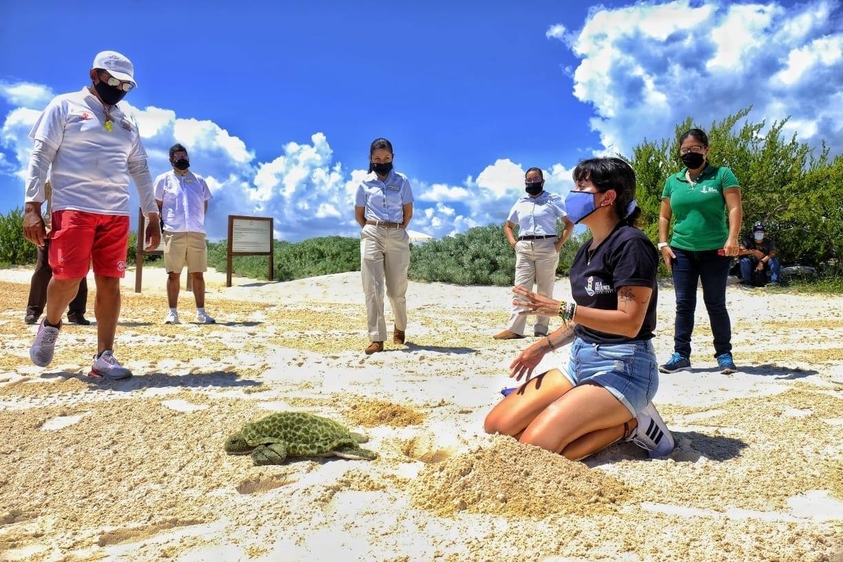 El programa tiene como objetivo proteger y conservar a la tortuga marina  Foto: Ovidio López