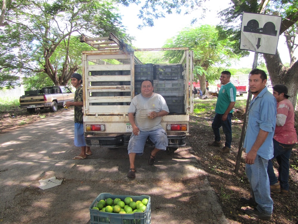 Foto: Amir Jesús Mex Ayuso