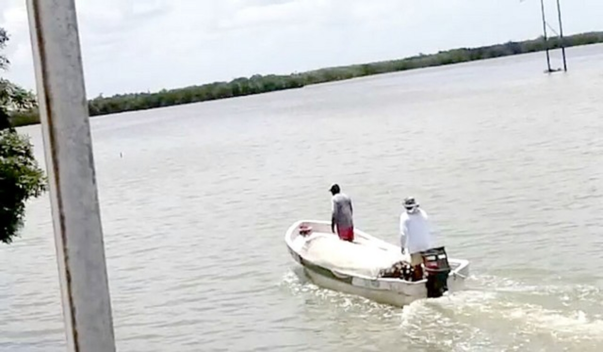 Denuncian el saqueo de especies marinas en el litoral de Isla Arena