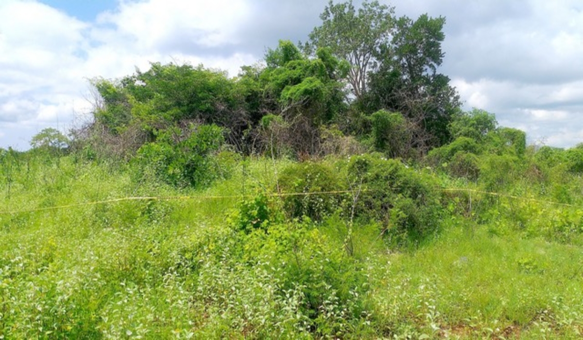 INAH reorienta obras del Tren Maya en Tenabo para resguardar vestigios arqueológicos