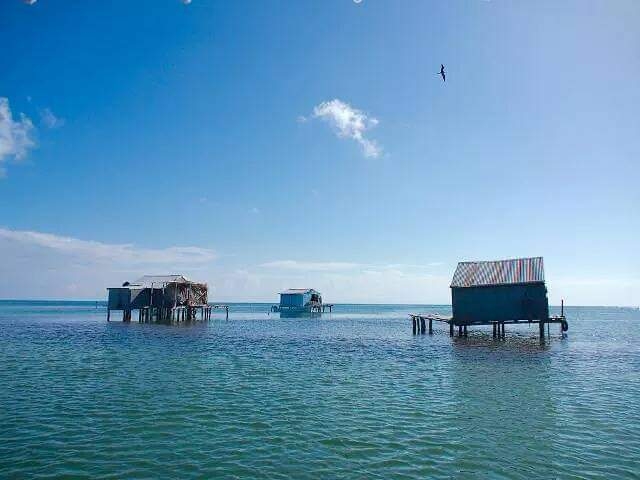 Tiburón ataca a un pescador en Banco Chinchorro